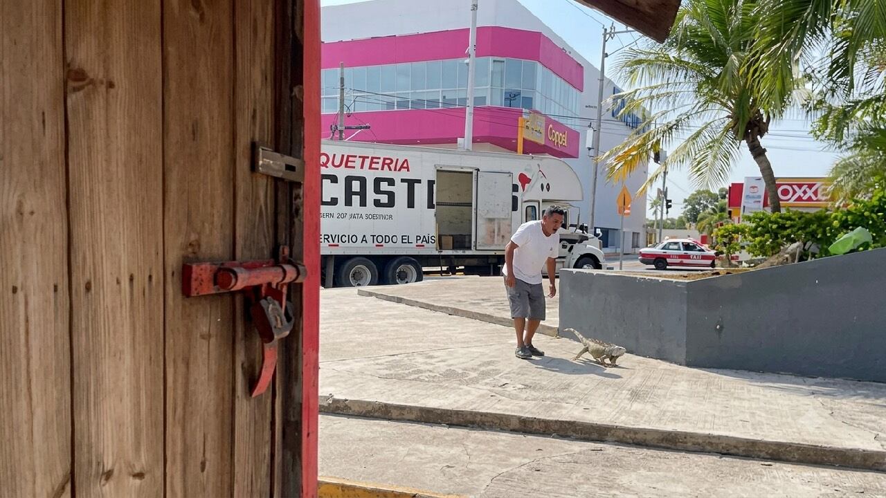 Un chofer captura una iguana protegida en Tuxpan