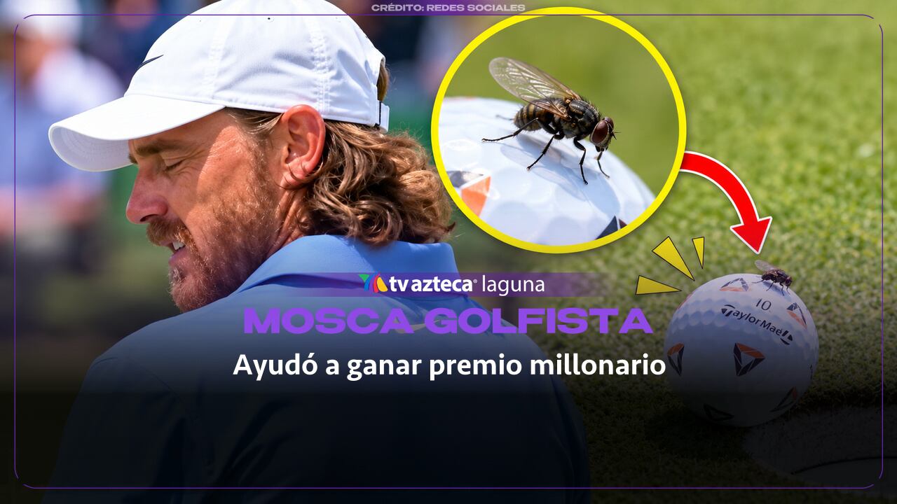 Un golfista ganó más de 2 millones de dólares gracias a la ayuda de una mosca