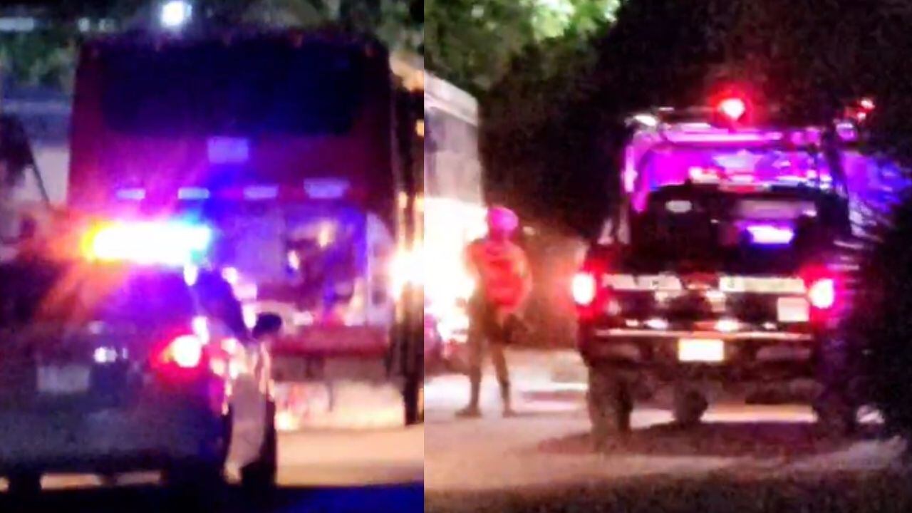 ¿Pantera en La Laguna? Reportan presunto avistamiento en Lerdo | VIDEO