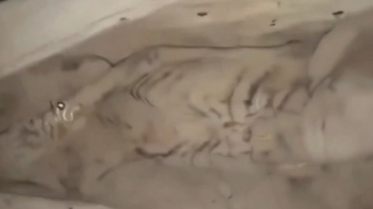 El Gigante de Kandahar: El misterio del humanoide en Afganistán