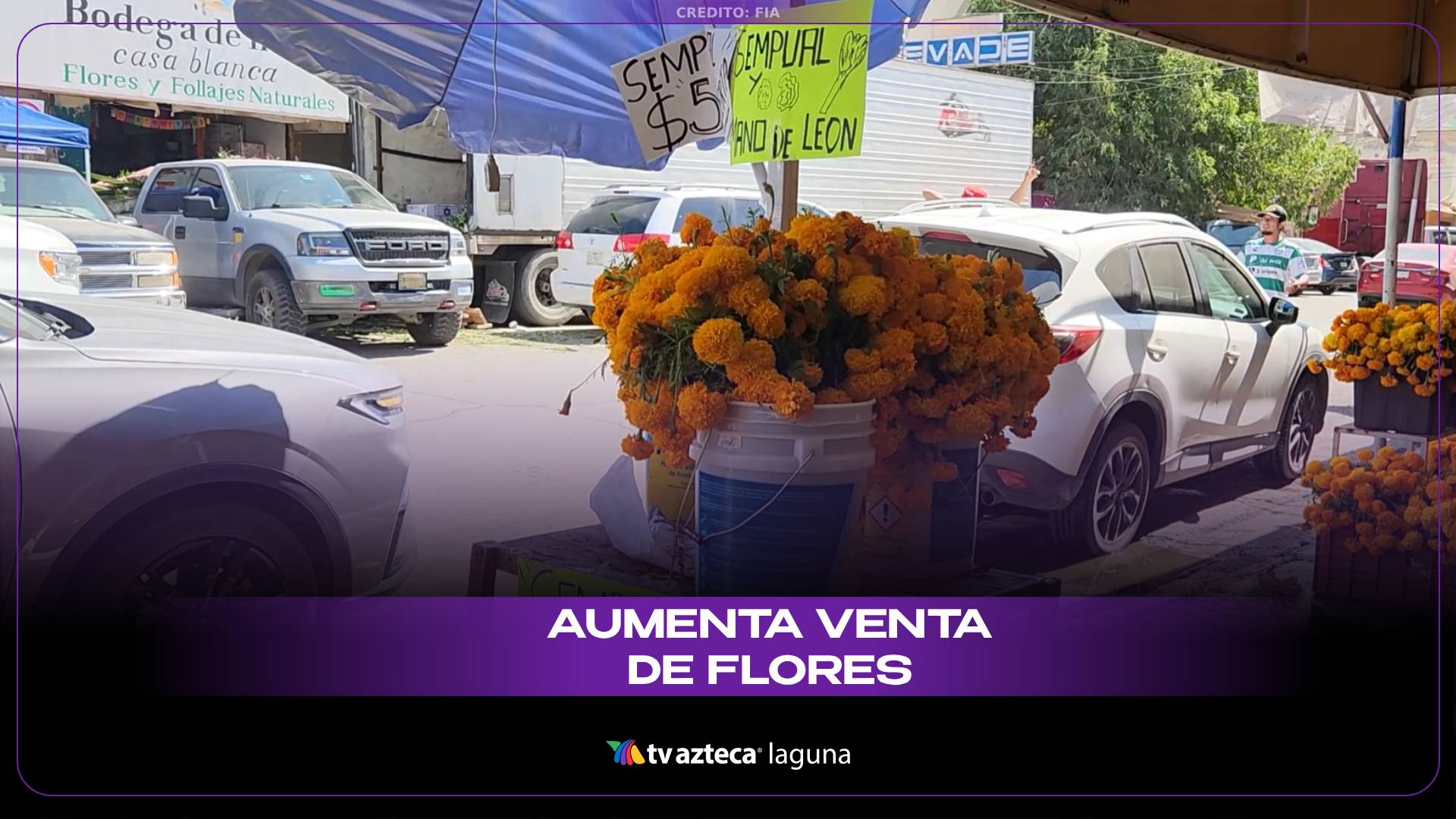 Aumenta la venta de flores en Torreón por el Día de Muertos 2025