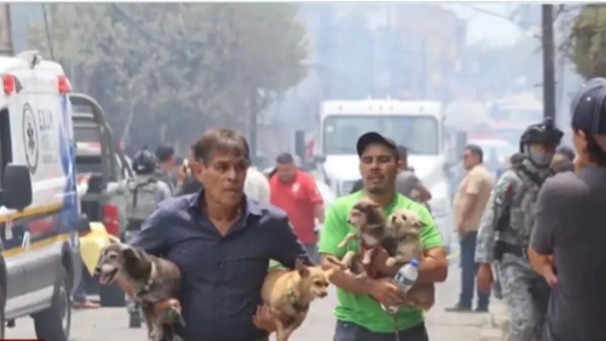 Explosión de pipa de gas en Cuernavaca Padre e hijo rescatan a perros.jpeg
