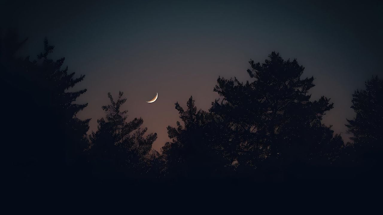 Noche más oscura de noviembre 2025 ¿Cuándo es y por qué ocurre.jpg