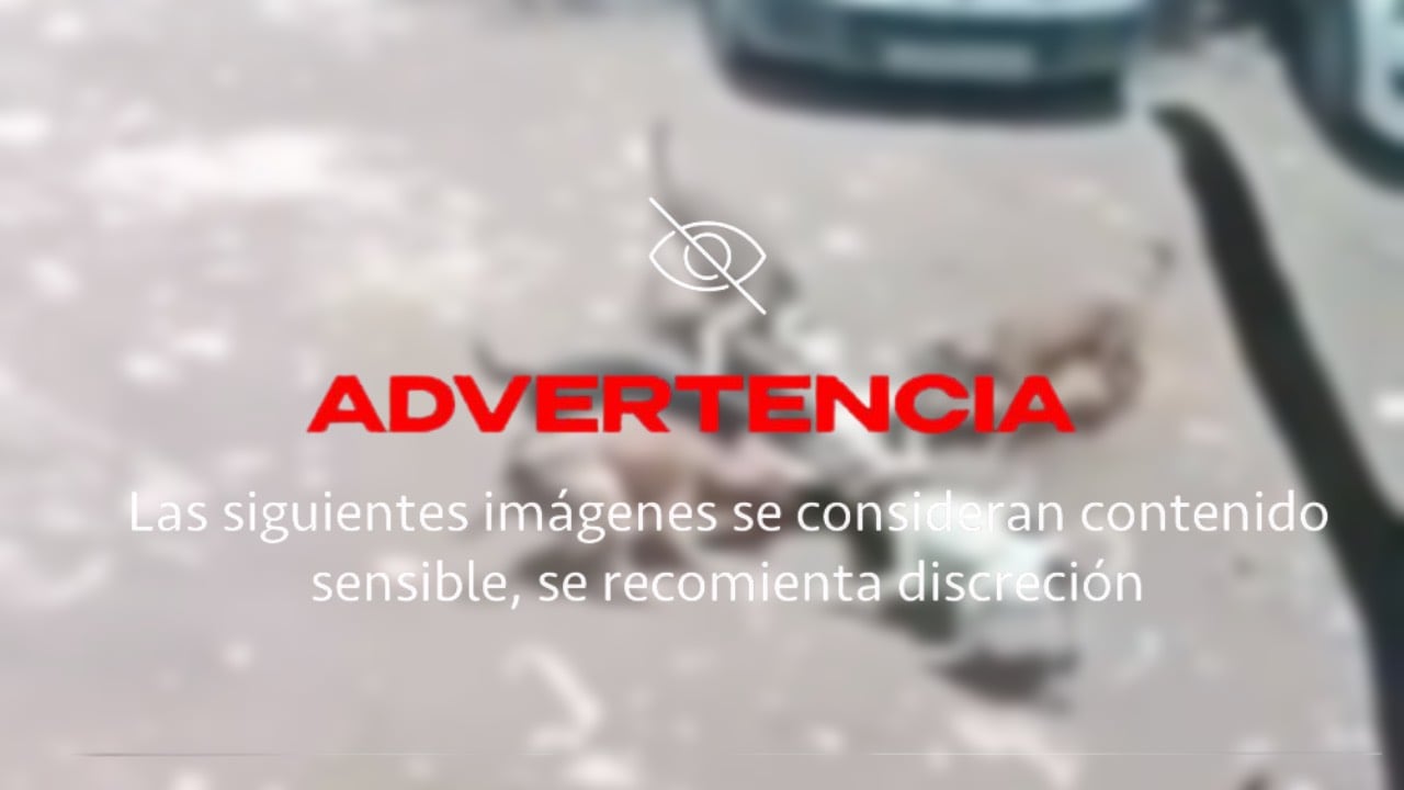 Vecinos salvan a una niña de 4 años atacada por siete perros | VIDEO