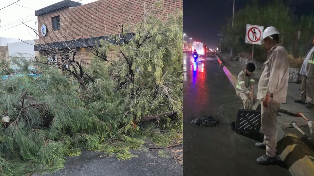 VIDEO | ¡Torreón bajo el agua! Tormenta inunda calles, tira árboles y pánico por cables sacando chispas