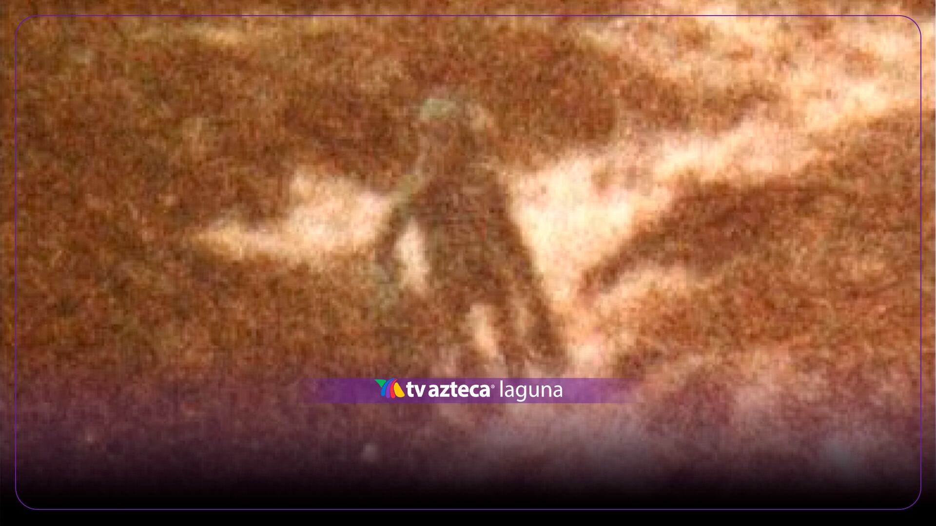 La misteriosa fotografía de un supuesto extraterrestre: El caso de Ilkley Moor