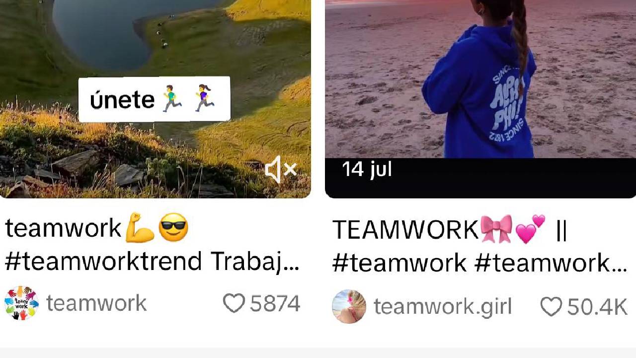 Que-es-Teamwork-y-por-que-es-viral-en-tik-tok.jpg