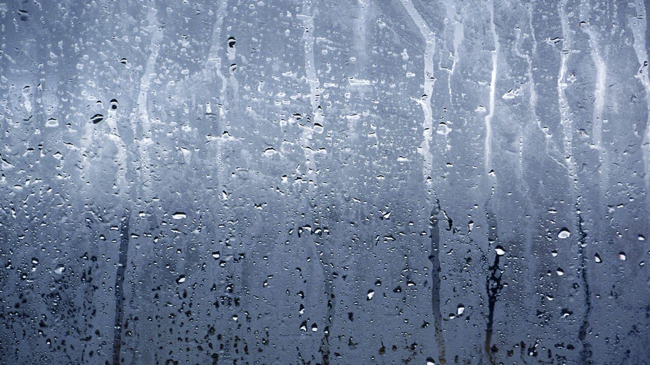 Clima La Laguna Pronóstico para 6 agosto de 2026.jpg