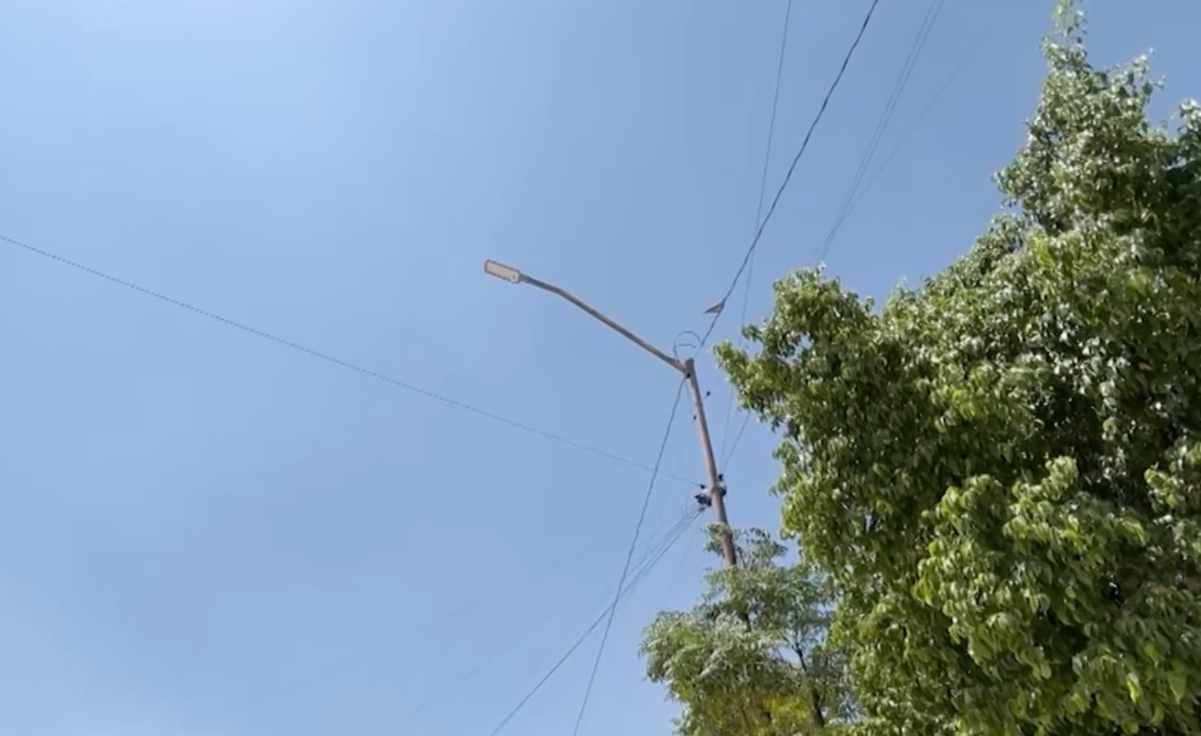¡Viven en el abandono! Vecinos de Los Molinos exigen servicios básicos y mayor vigilancia en Lerdo