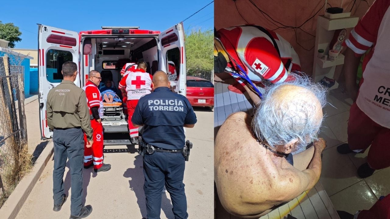 Enjambre de abejas ataca a hombre de 86 años en Torreón y le deja cerca de 50 picaduras