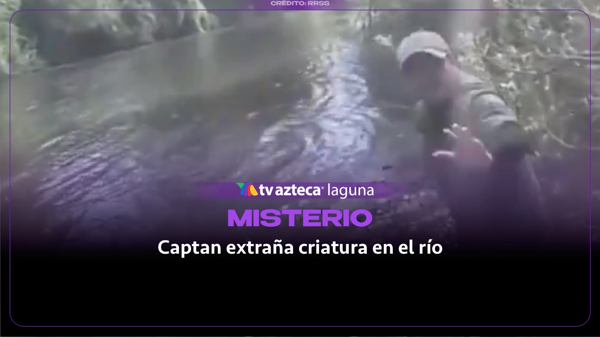 ¡Misterio en el agua! Pescadores captan a una extraña criatura en el río | VIDEO