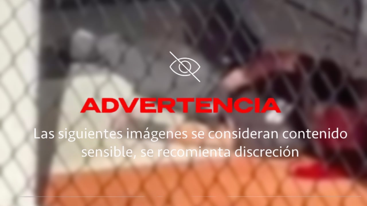 Estudiante entra armado a colegio tras brincarse la barda y dispara | VIDEO