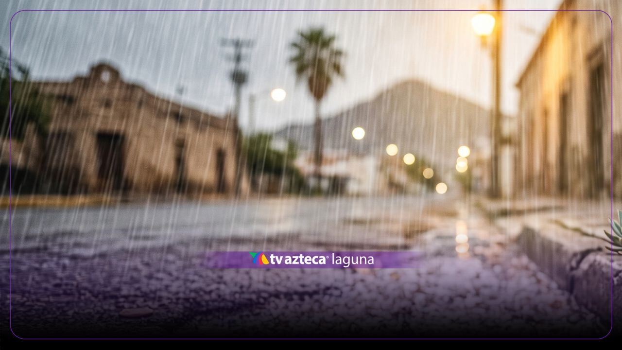 El misterio del petricor: ¿Por qué nos gusta el olor a lluvia?
