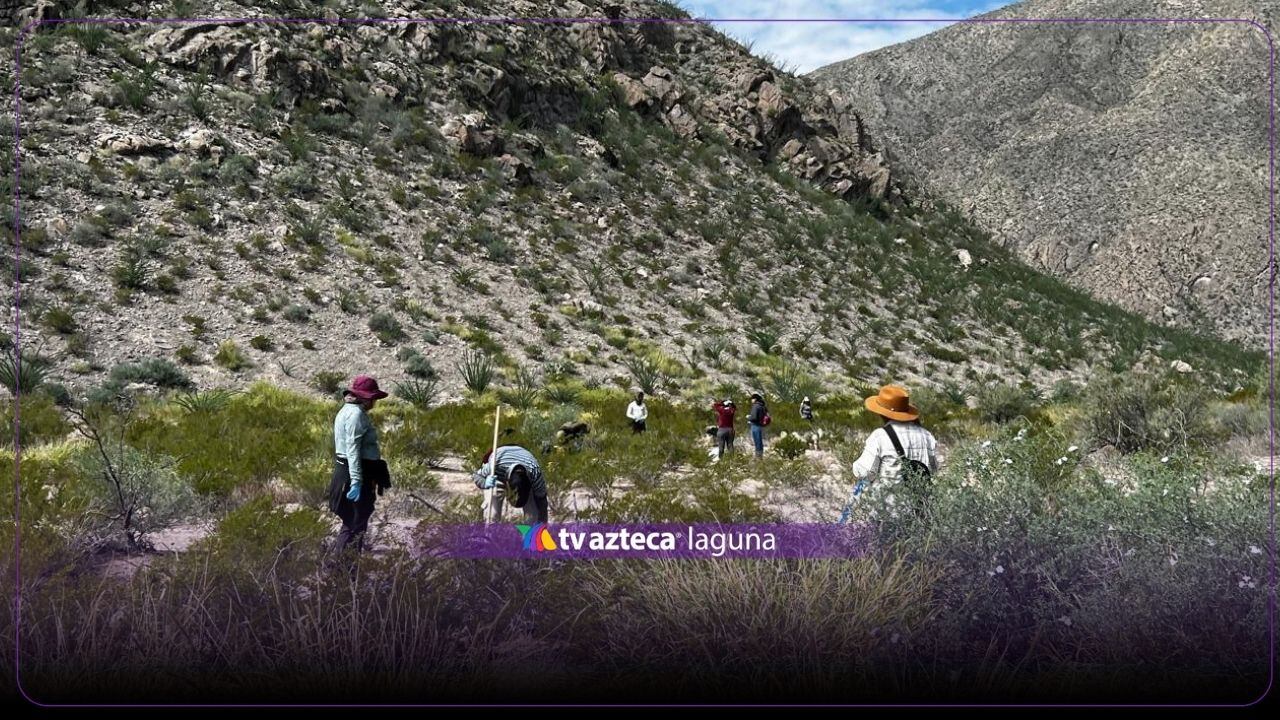 Colectivo de búsqueda halla restos óseos en Matamoros, Coahuila