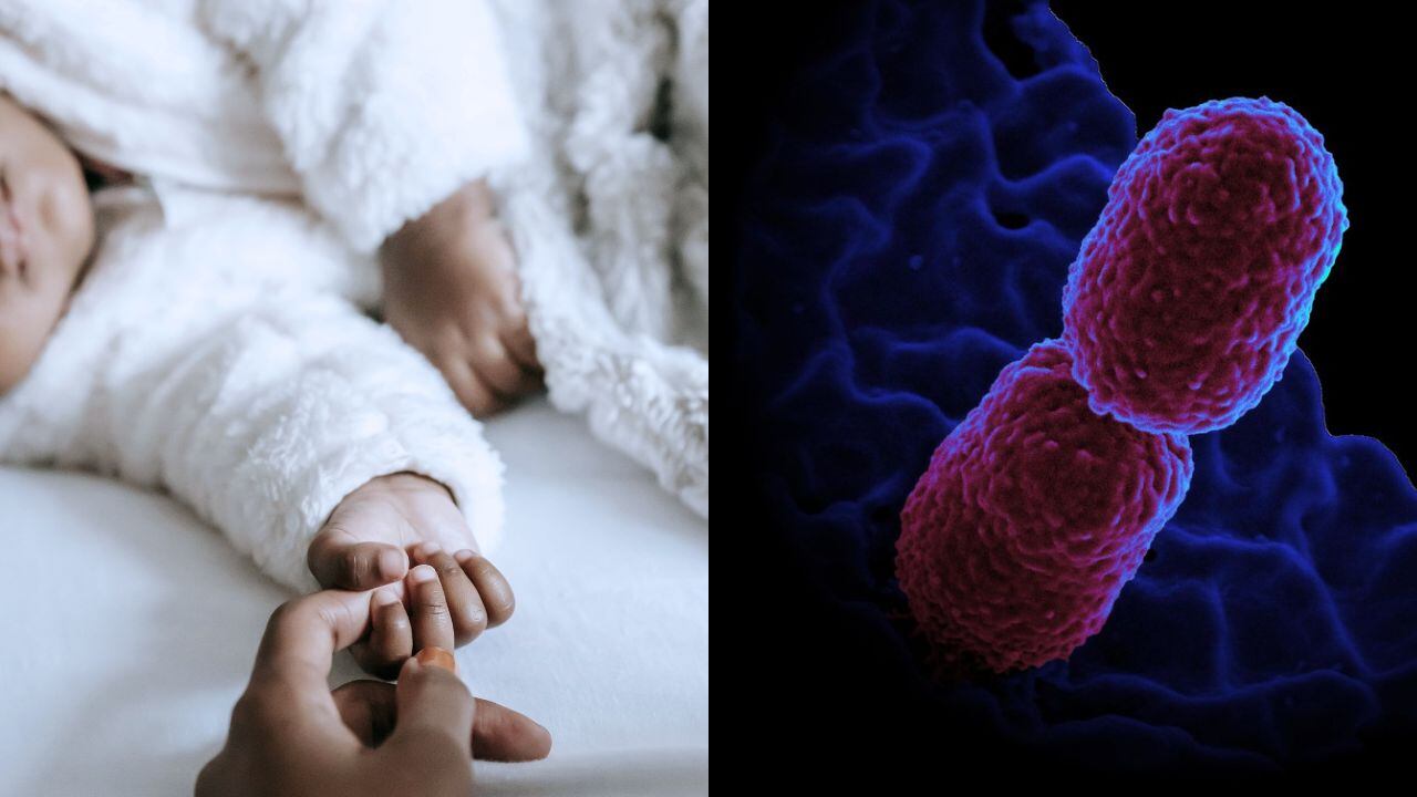 ¿Qué es Klebsiella pneumoniae? bacteria por la que murió recién nacido en Lerdo