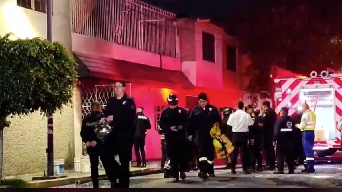 Pirotecnia provoca incendio y deja 14 perros muertos durante festejos patrios