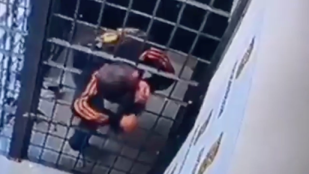Hombre se fuga de la cárcel mintiéndose entre los barrotes como si fuera de hule | VIDEO