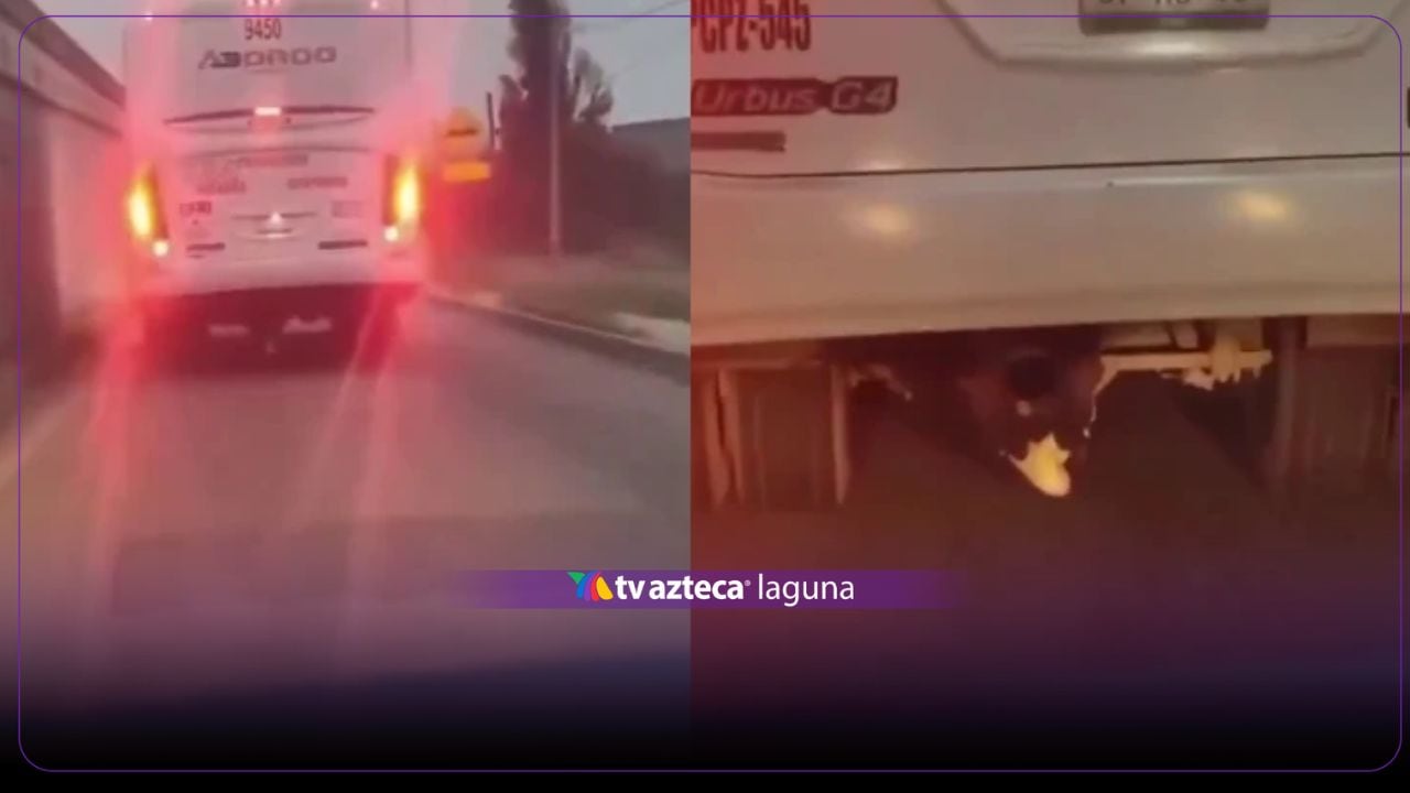 Adolescente viaja oculto debajo de autobús durante 70 kilómetros | VIDEO
