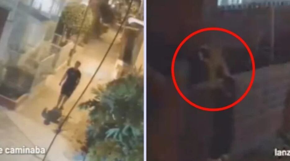 VIDEO | Captan a hombre abandonando a su perro; lo lanzó por encima de una barda