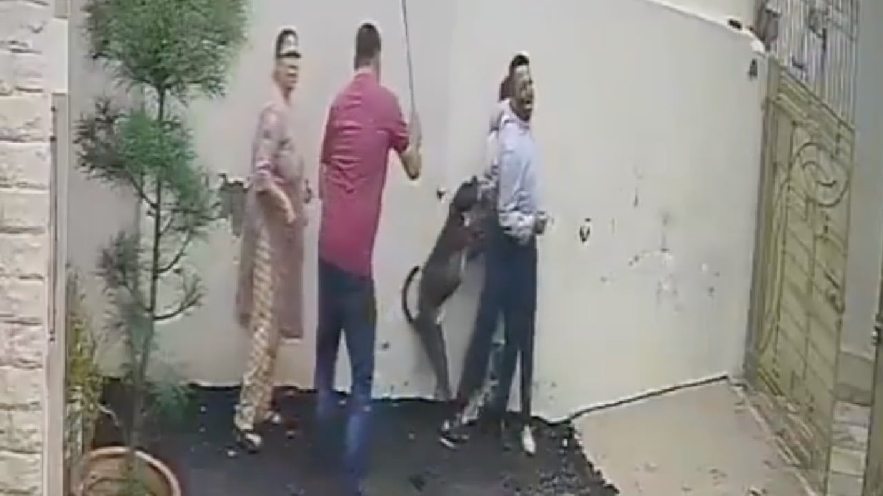 Pareja acude a una casa con intención de comprarla y los reciben con ataque de un pitbull | VIDEO