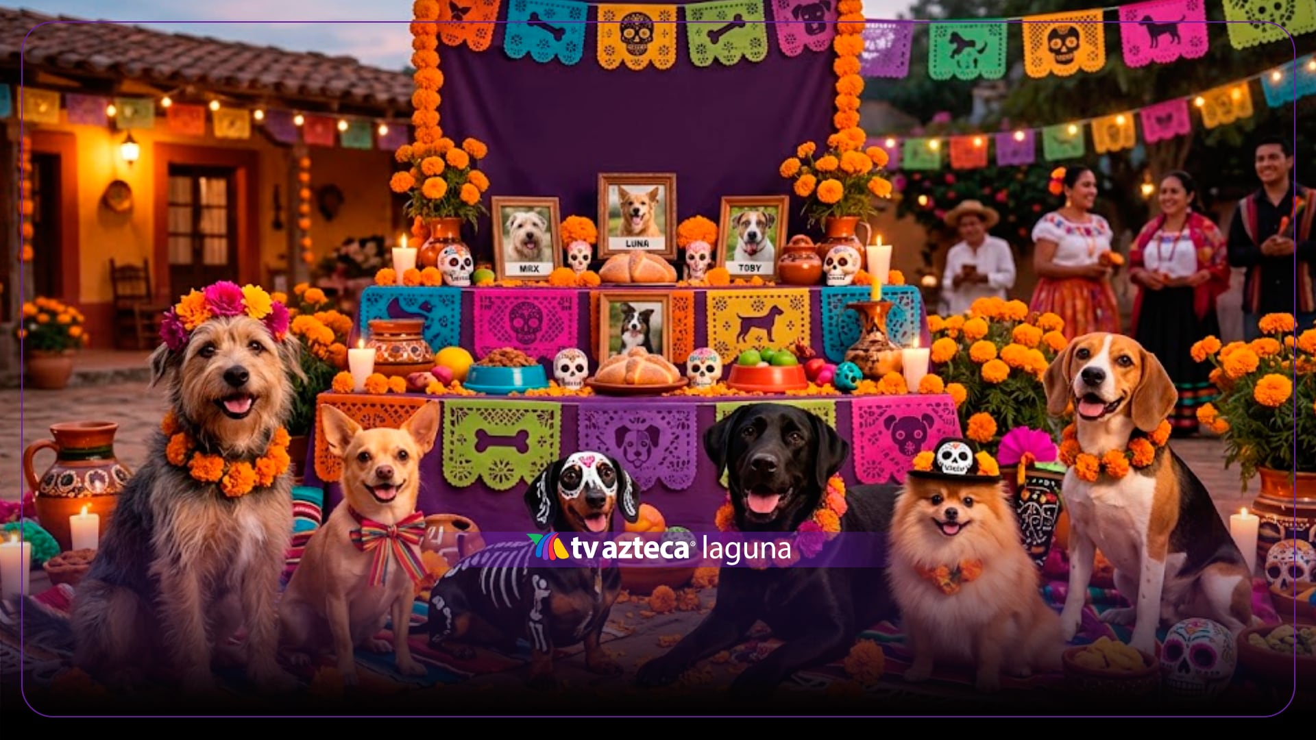 Día de Muertos 2026: ¿Cuándo regresan los perritos a visitar a sus familias?